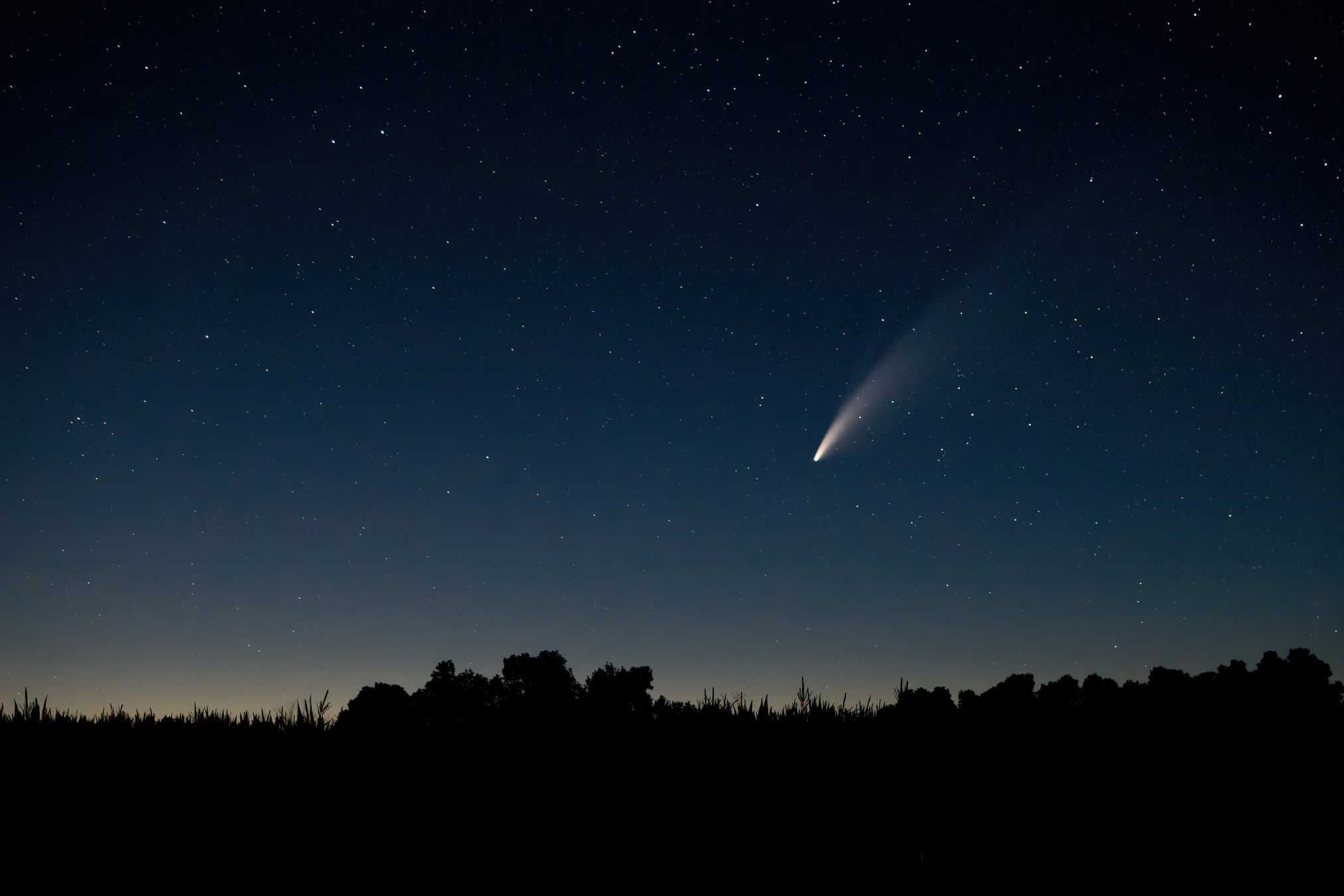 Shooting Star in Night Sky