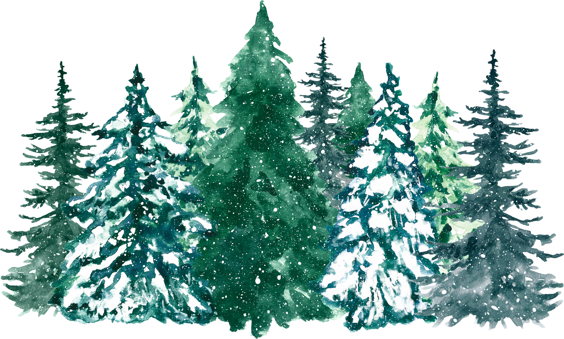 Watercolor winter pine tree forest illustration